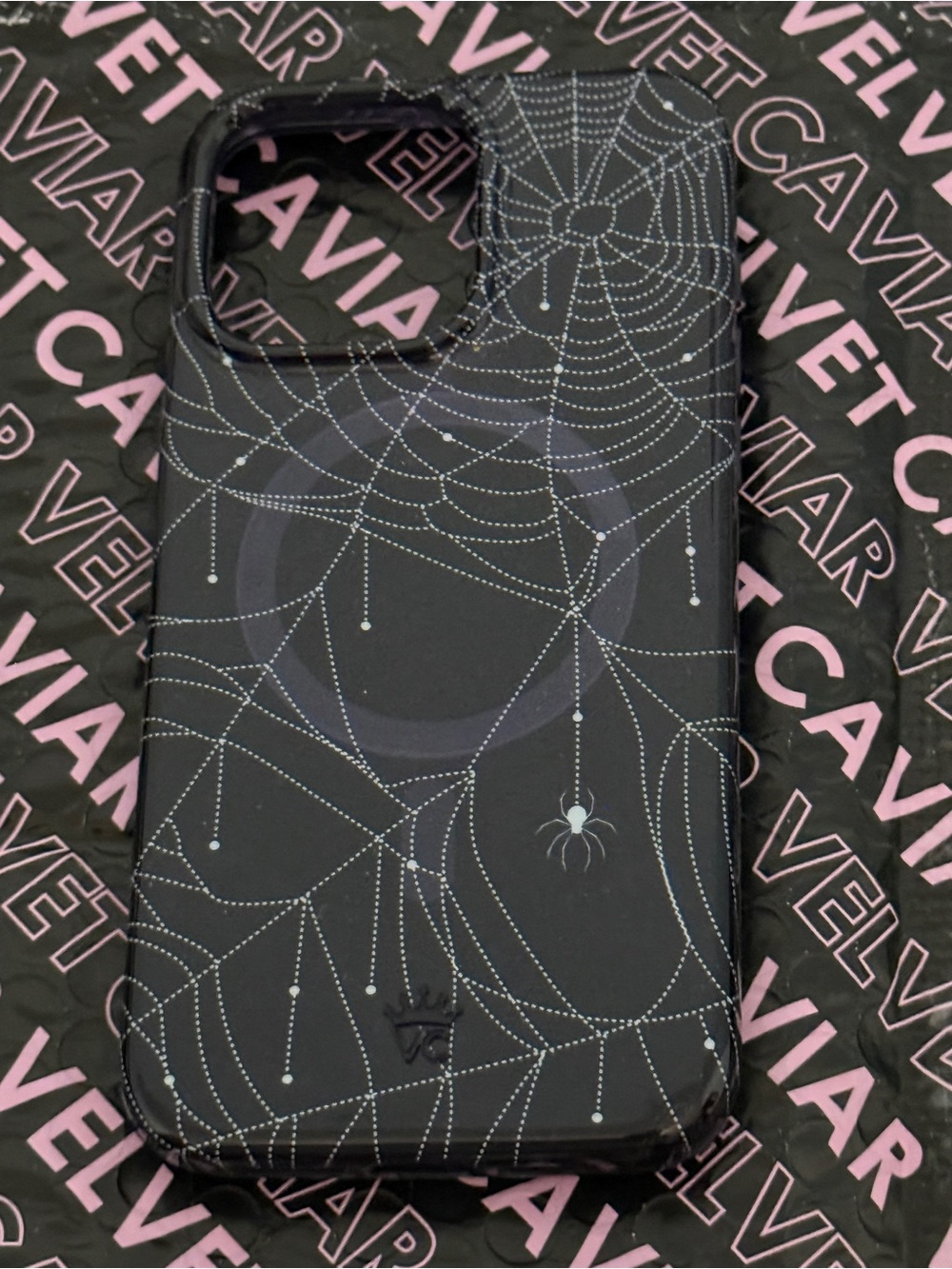 Velvet Caviar iPhone 15 Pro Max Case - In Your Web (Halloween/Gothic)